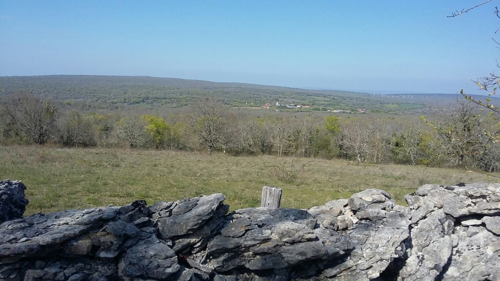 20190413_165112_resized