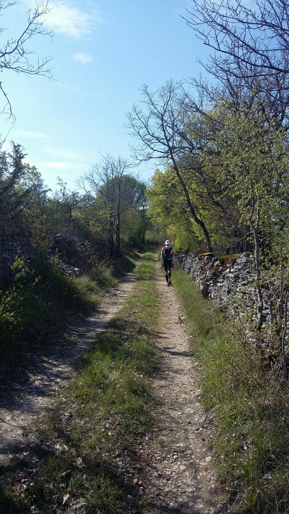 20190413_165119_resized