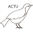 alouetteg